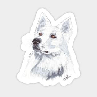 WHITE SWISS SHEPHERD DOG Sticker